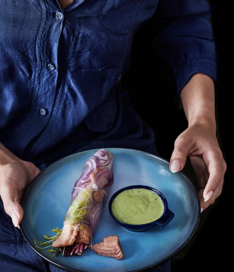 person holding plate with plant salmon roll